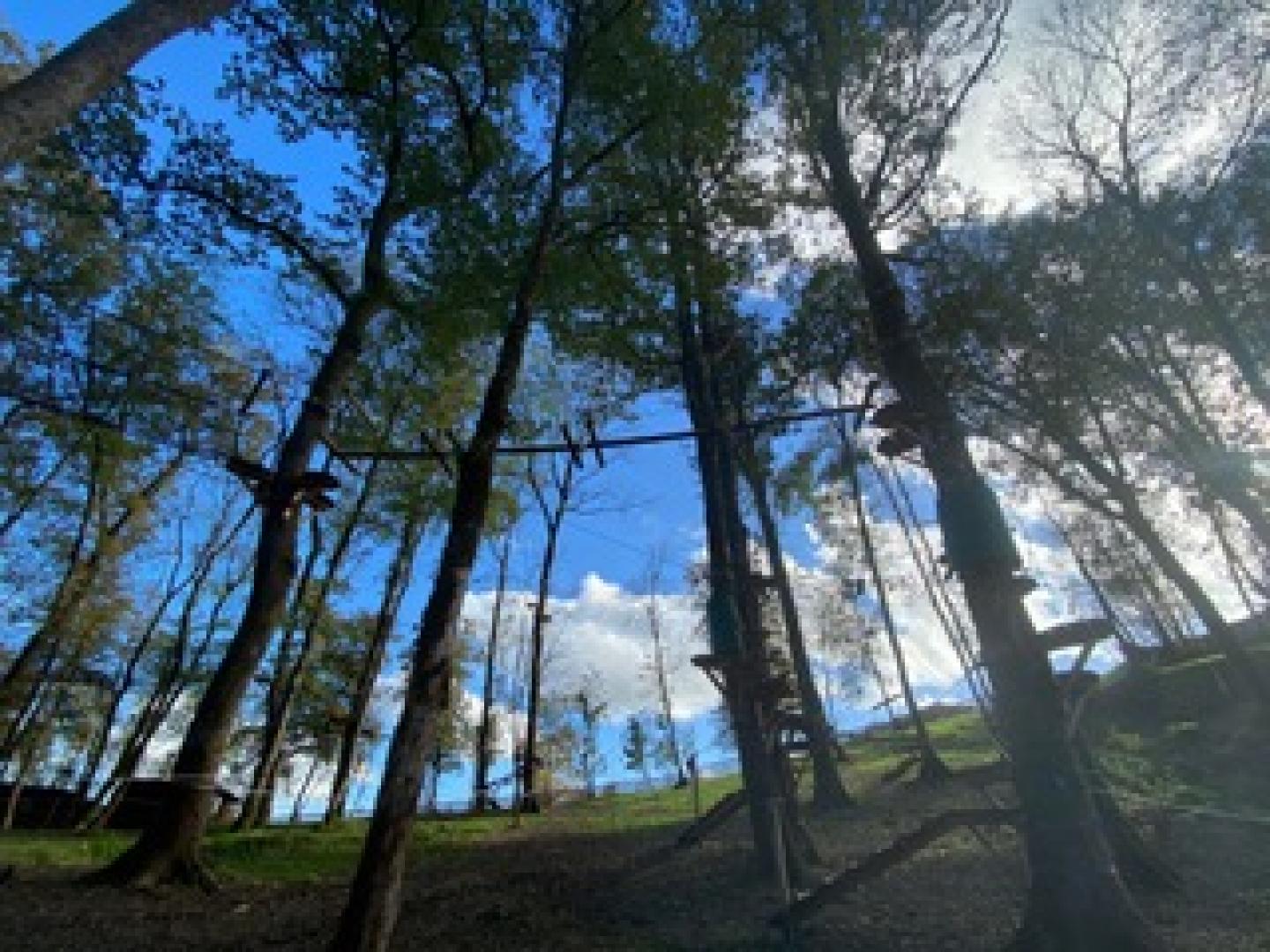 Vue générale ciel bleu.jpeg